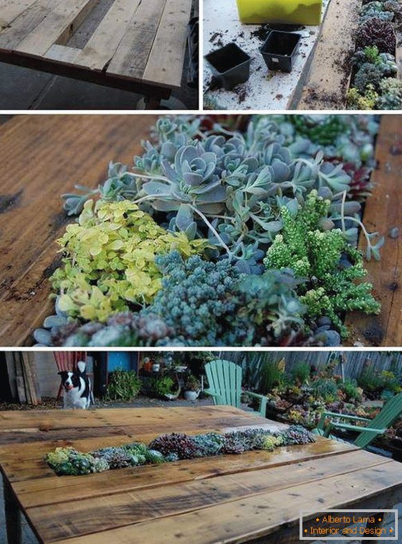 succulents-decor-with-hands