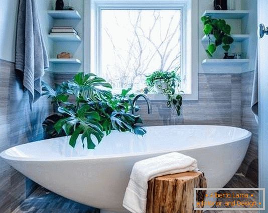Small bathroom with green plants