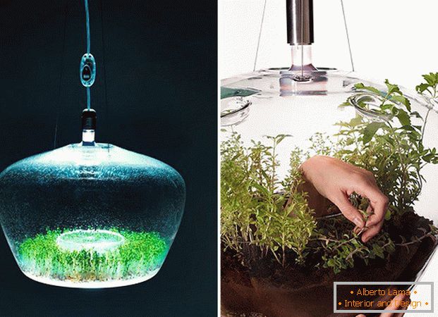 Unusual greenhouse lamp
