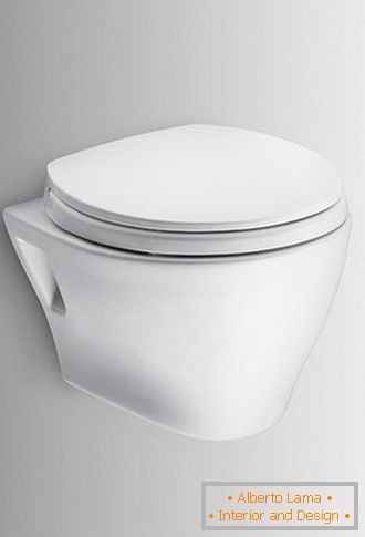 Mounted toilet bowl