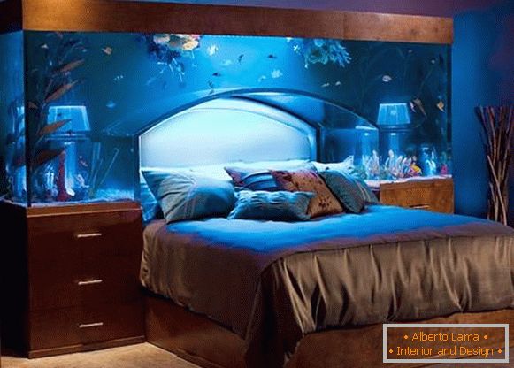 aquarium-like-headed-beds