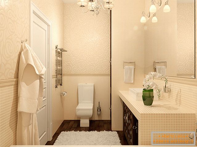 Interior of a small bathroom combined with a toilet