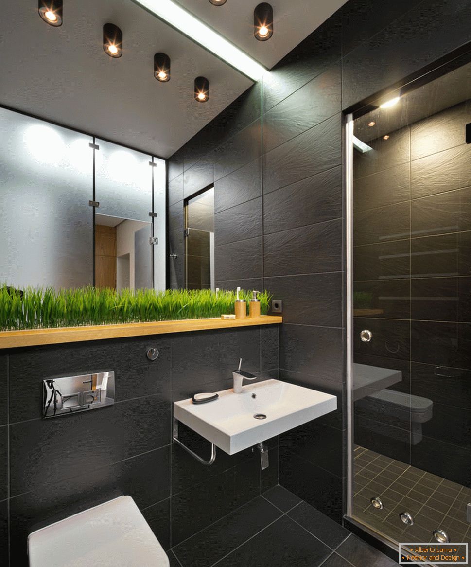 Interior of a small bathroom combined with a toilet