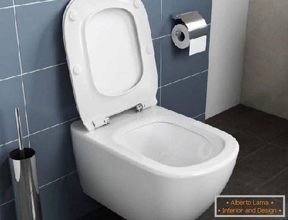 Bezobodkovy pendant toilet, photo 14