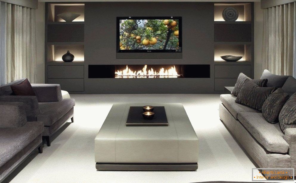 Bio fireplace in the living room