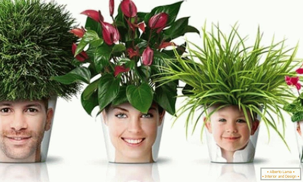 Family flower pots