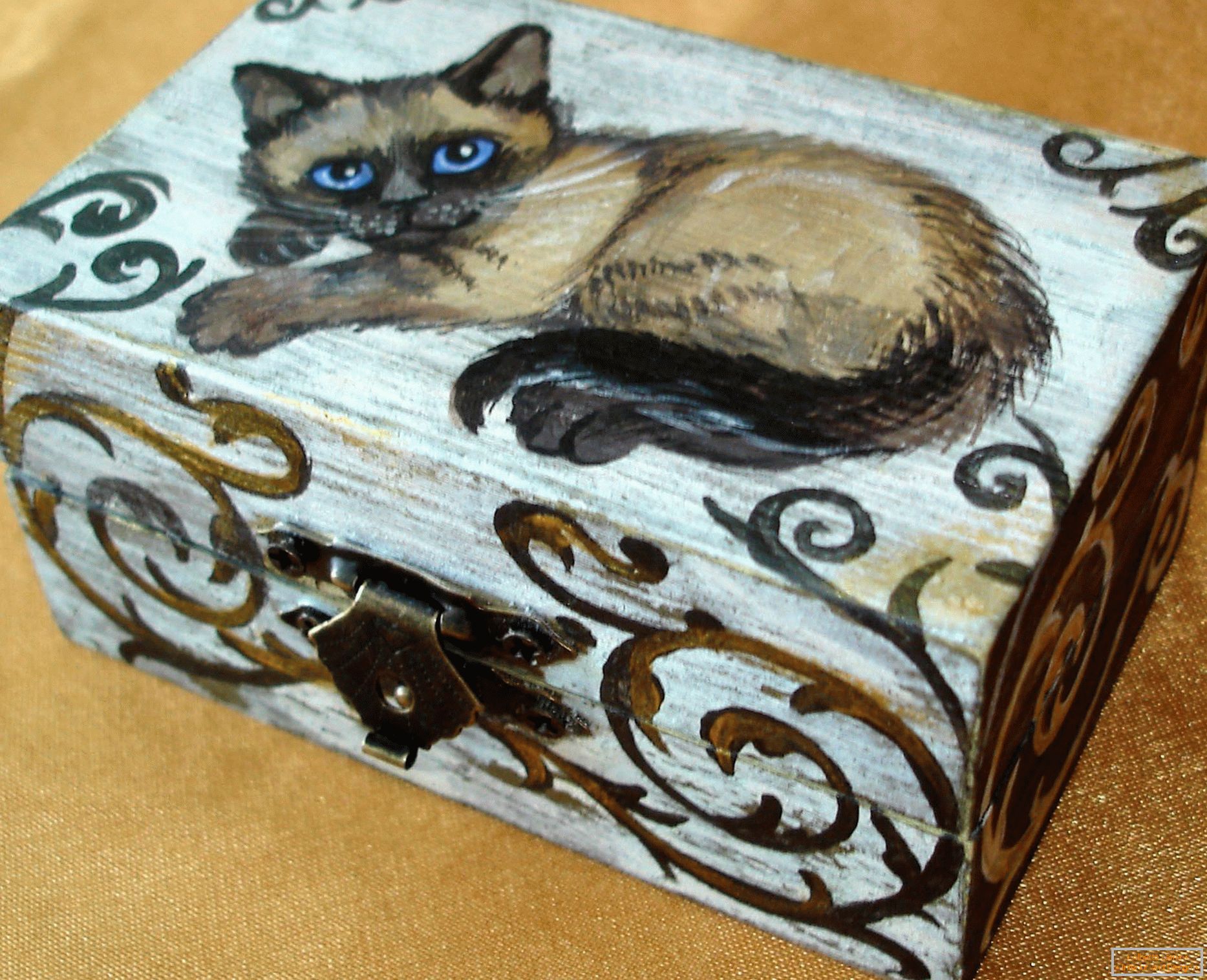 Cat on the box