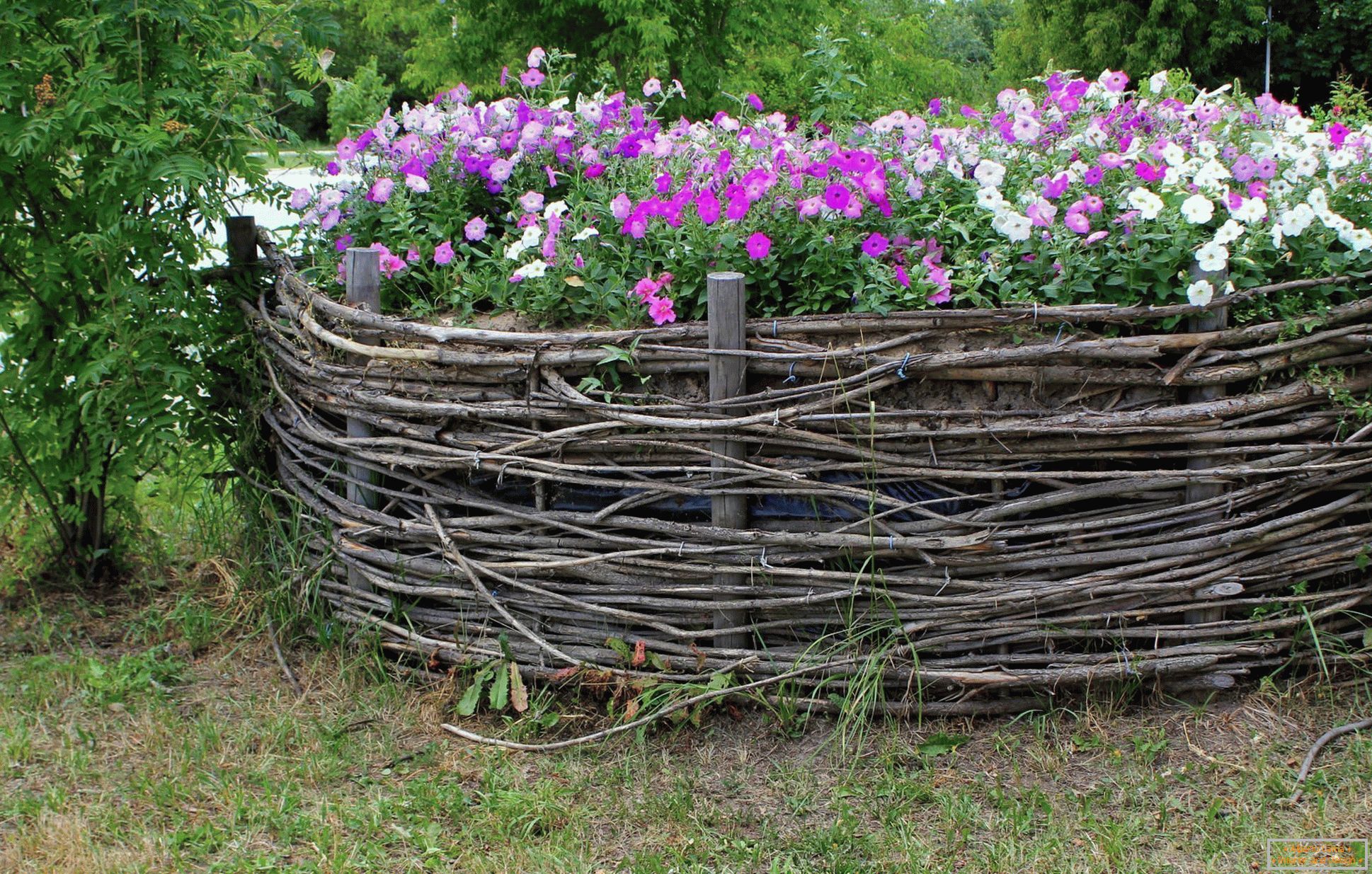 Wicker fence for a flower bed