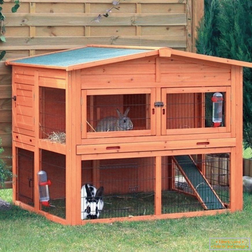 House for rabbits