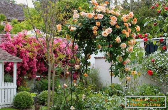 Landscaping of a private home - the best ideas for 2017 with flowers