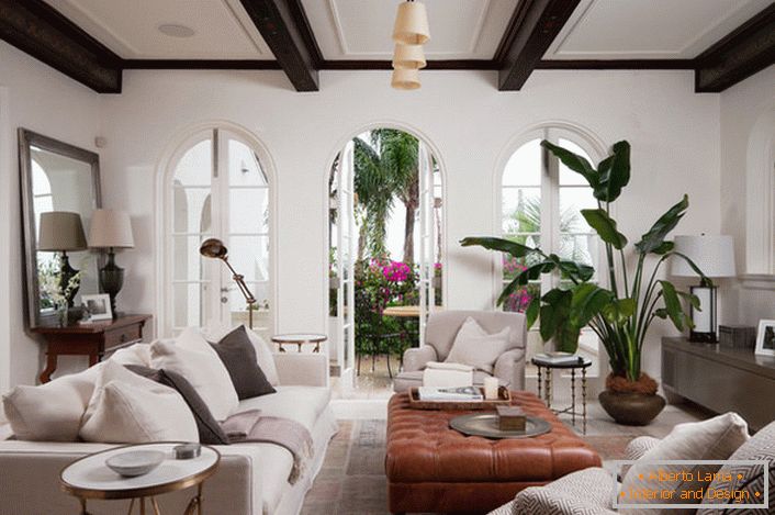 Комната для гостей оформлена в средиземноморском стиле. An elegant interior decoration is a large, sprawling green plant planted in a ceramic pot.