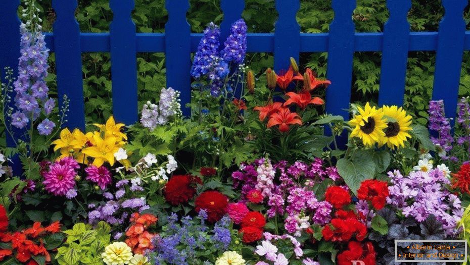 Bright flower bed at the fence