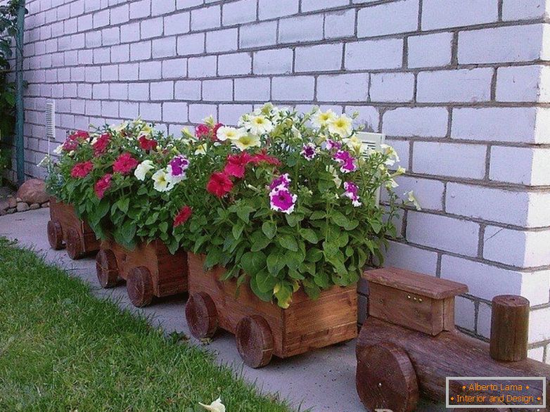 Petunias in a wooden train