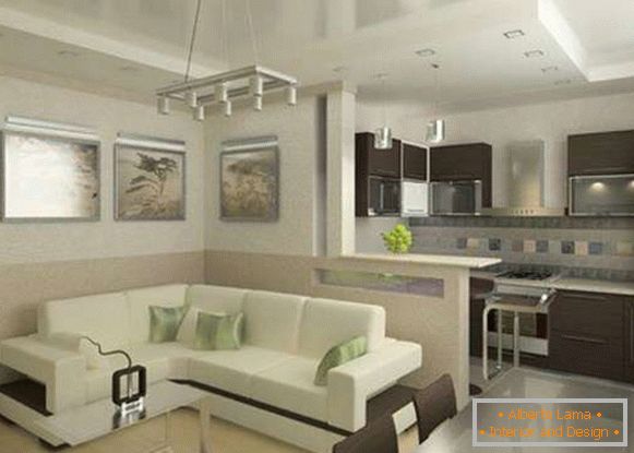 kitchen design of the living room, photo 11