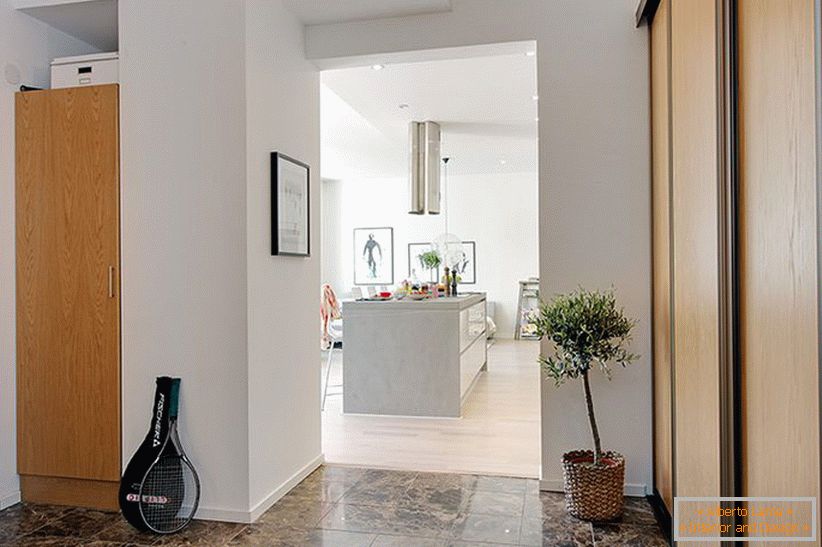 Entrance hall in studio apartment