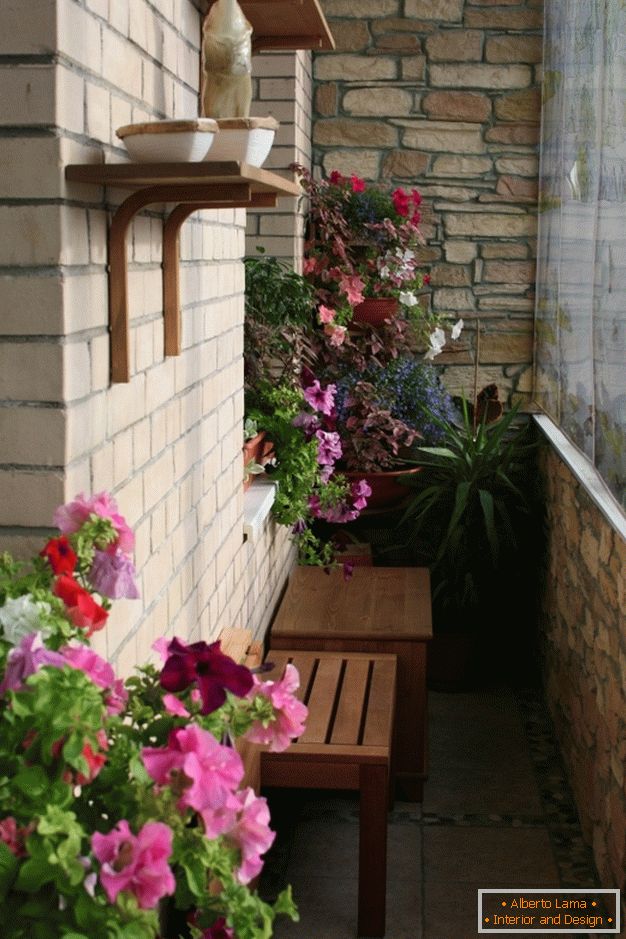 Flowers on the loggia, how to arrange?