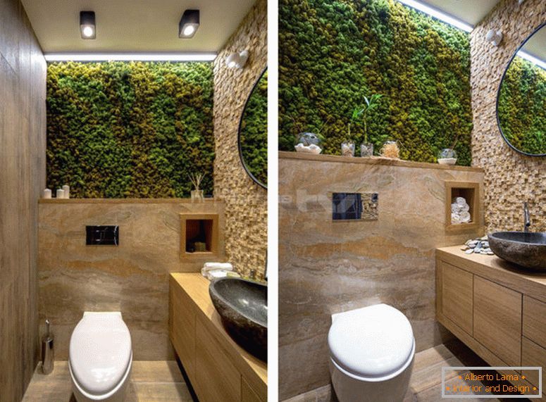 Toilet design - 150 photos of competent interior design in