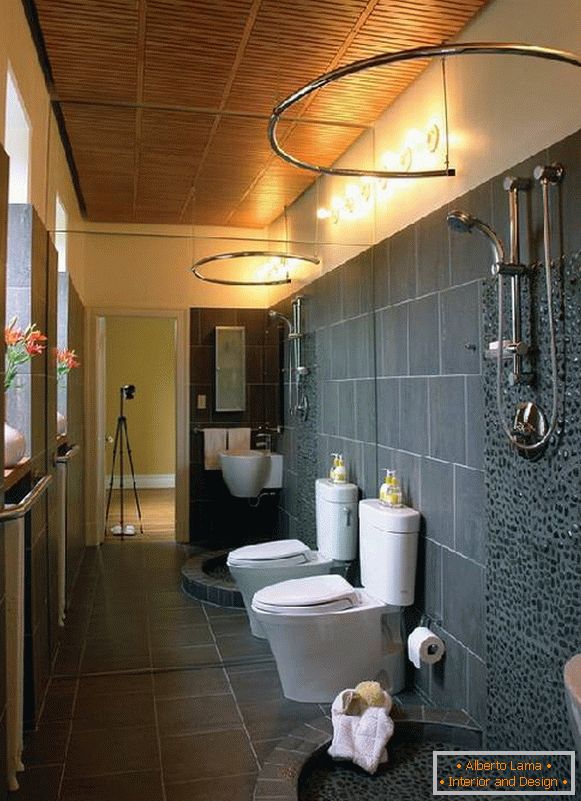 design of bathrooms, combined with a toilet photo, photo 19