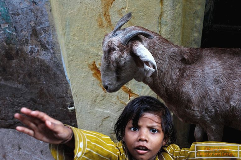 Child and goat