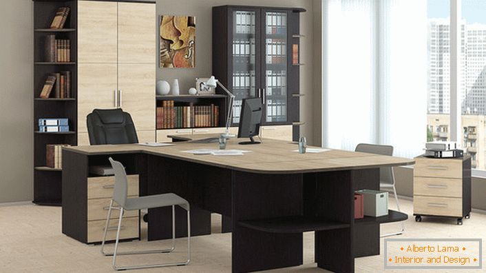 Cabinet furniture - simplicity, modesty, functionality and practicality in the office.