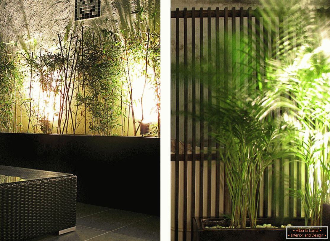 Plants in the interior of a narrow apartment in Hong Kong