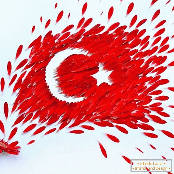 Flag of Turkey from petals of flowers