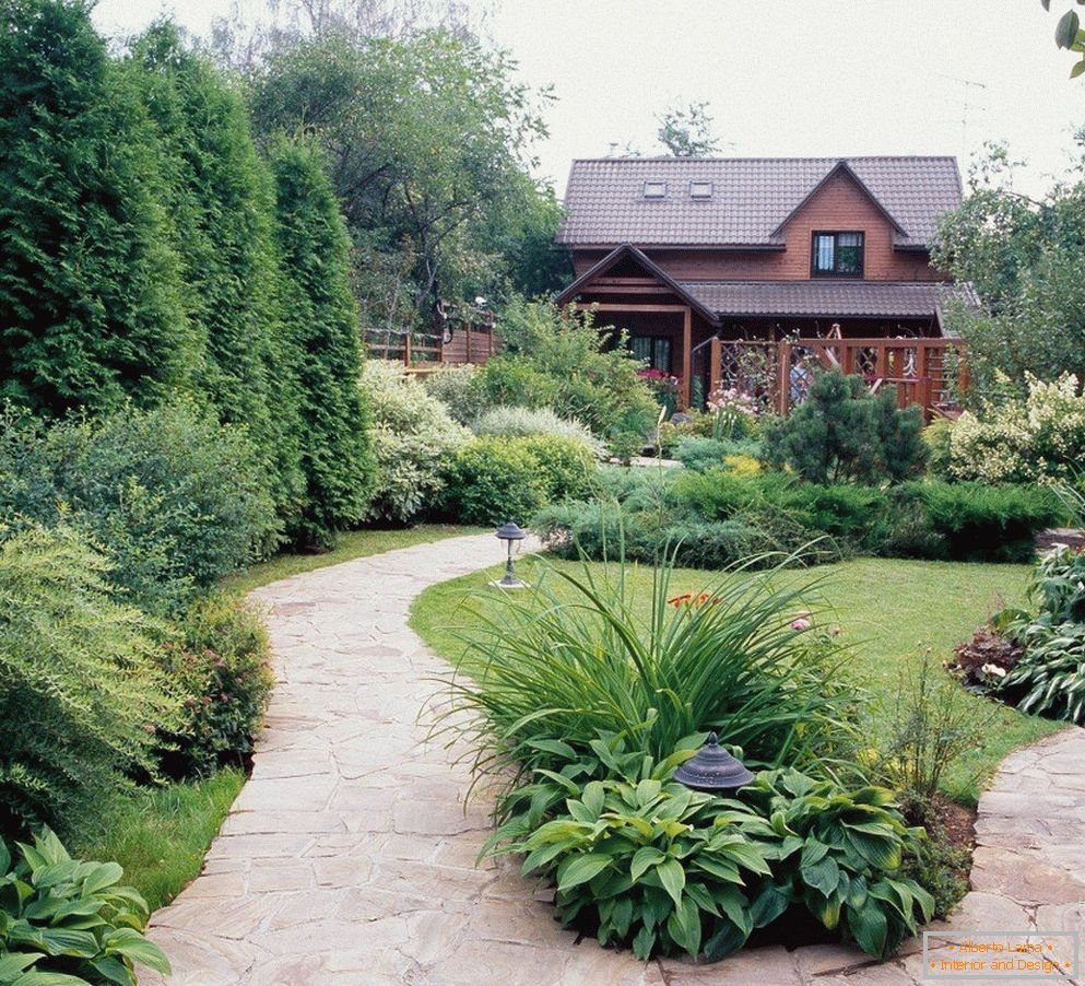 A small garden in the yard