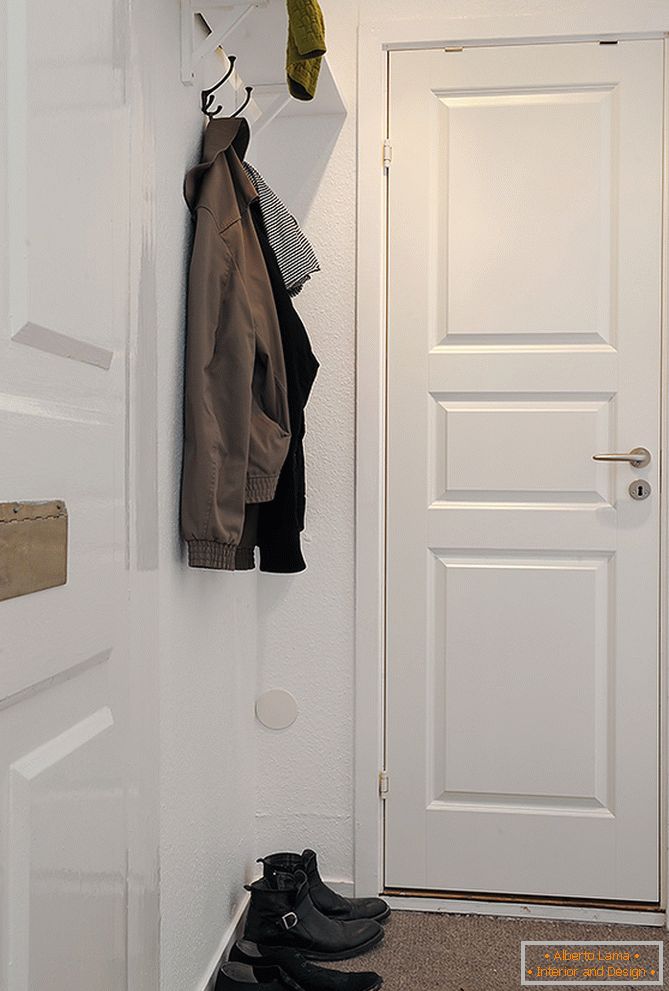 Entrance hall in white color