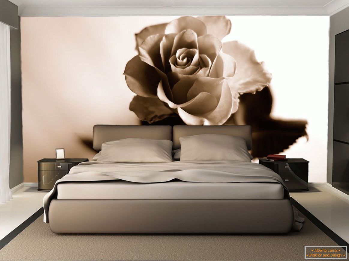 Wall Mural with a Brown Rose