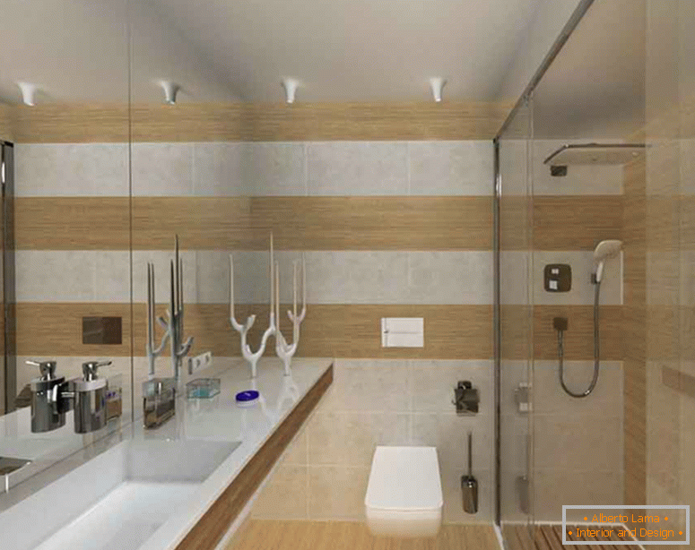 layout-bathroom-room-combined-with-toilet-photo-6
