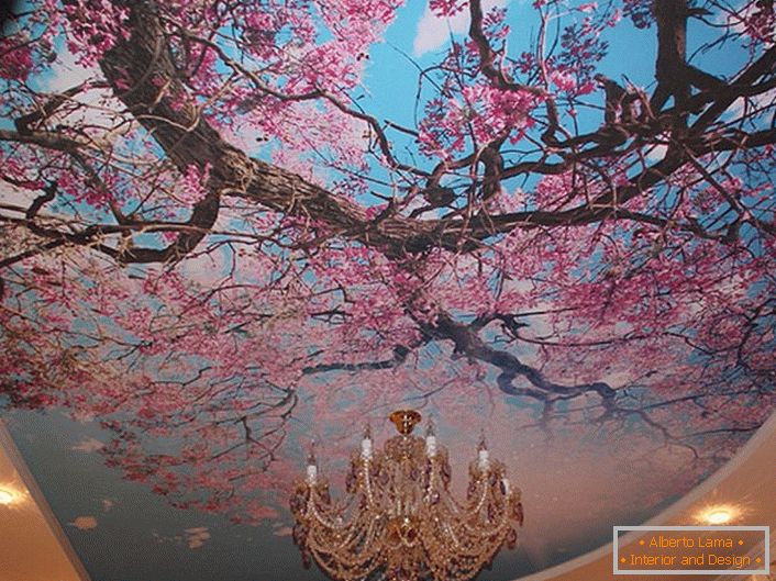 Blossoming cherry blossoms are often used by modern designers to decorate ceilings. The actual solution for registration of a guest room or a hall.