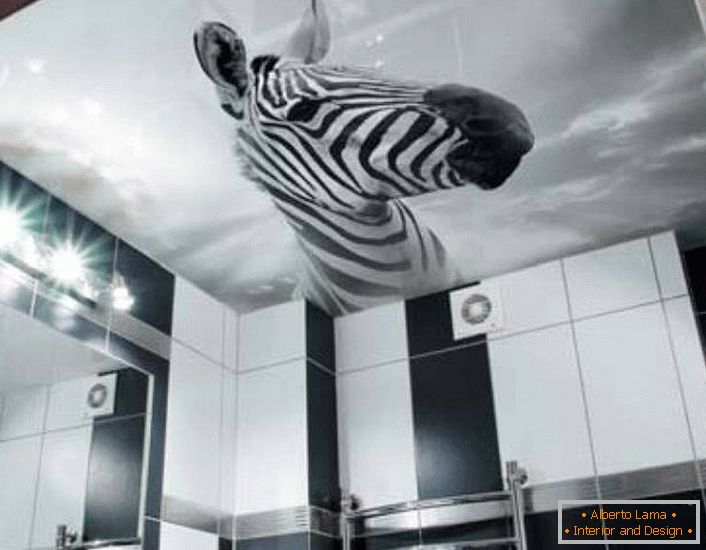 An unusual solution for decorating a black and white bathroom is the image of a zebra on stretch ceilings with photo printing.