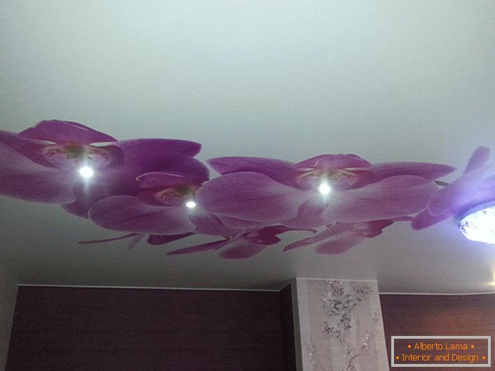 Delicate orchids look exquisitely on stretch ceilings. In the design of modern design, photo printing is used.