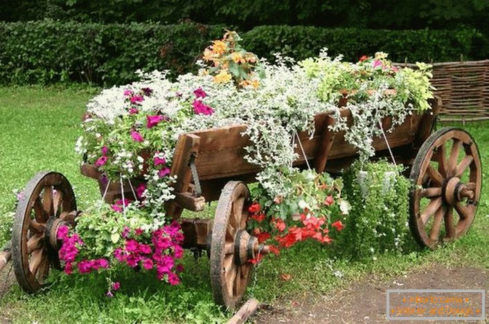As an utensils for the creation of a flower bed an old, restored cart was used. An interesting solution for the decor of the country house yard. 