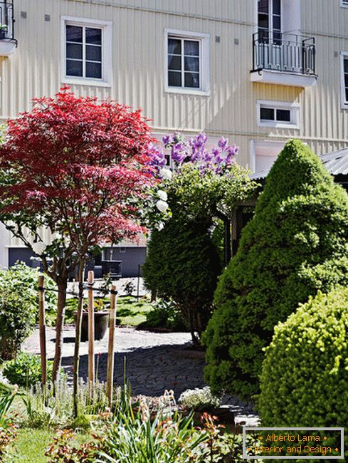 Green corner in the yard