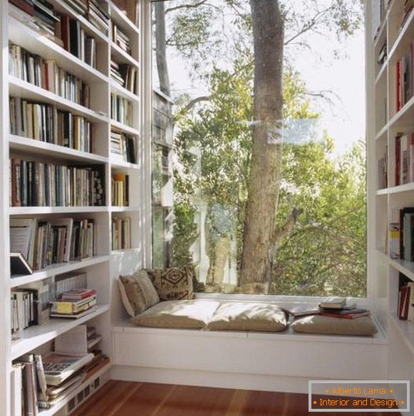 Sitting on the windowsill and bookshelves by the window