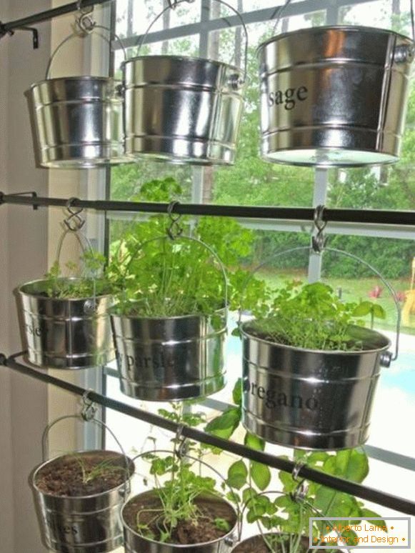 Kitchen garden on the window