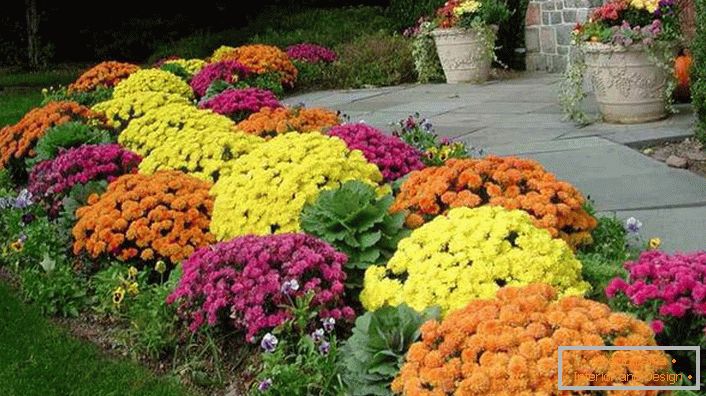 Flowerbeds at home