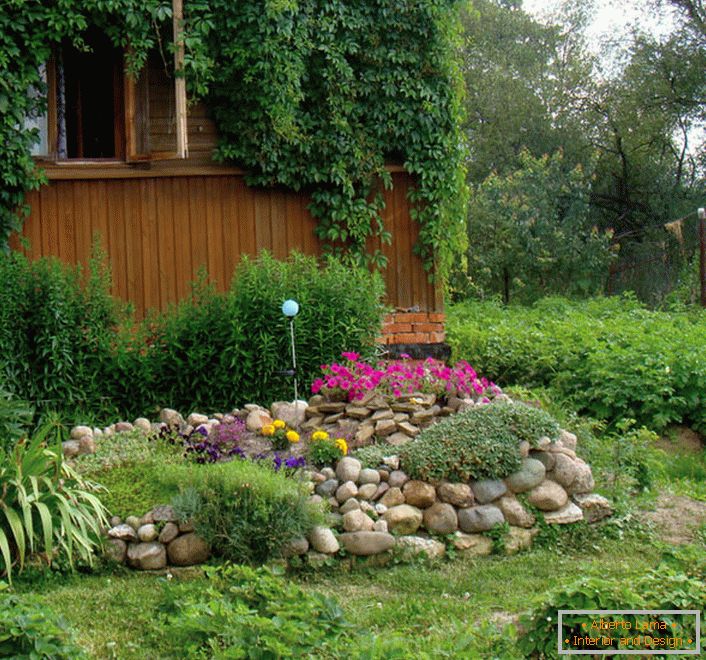 Flower bed of perennials в саду 