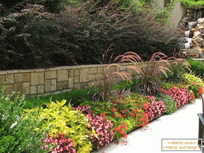 Flower bed of perennials