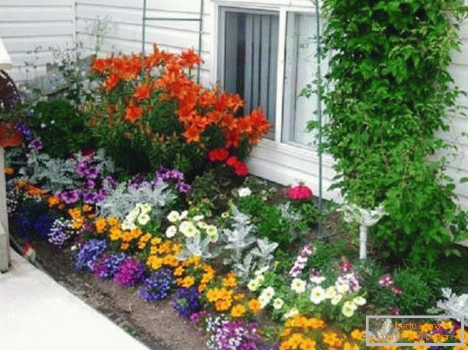 flowerbeds in the courtyard of a private house photo 10