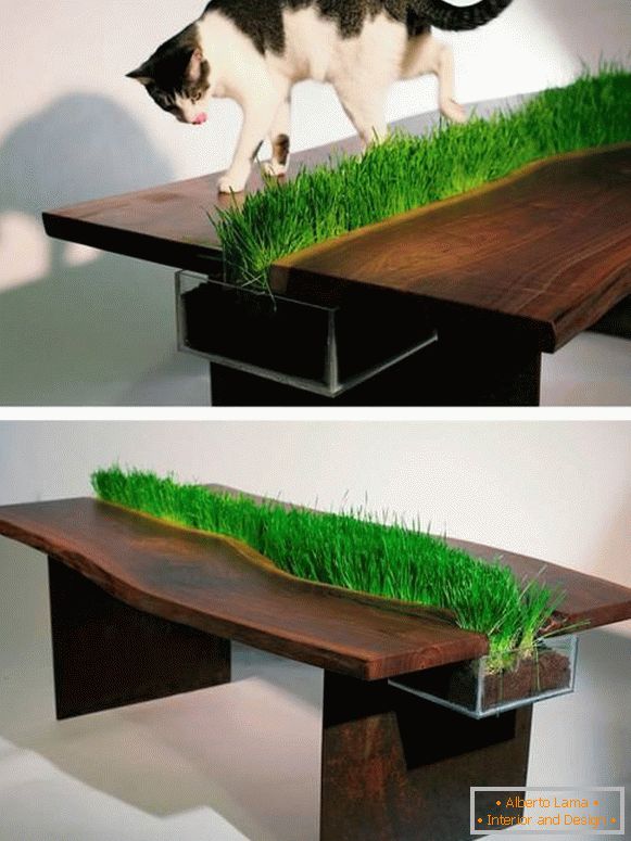 Table with an inserted plant
