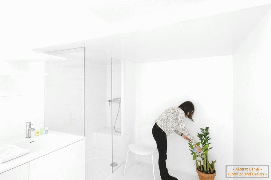 Bathroom in white color