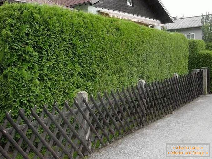 fences for a private house