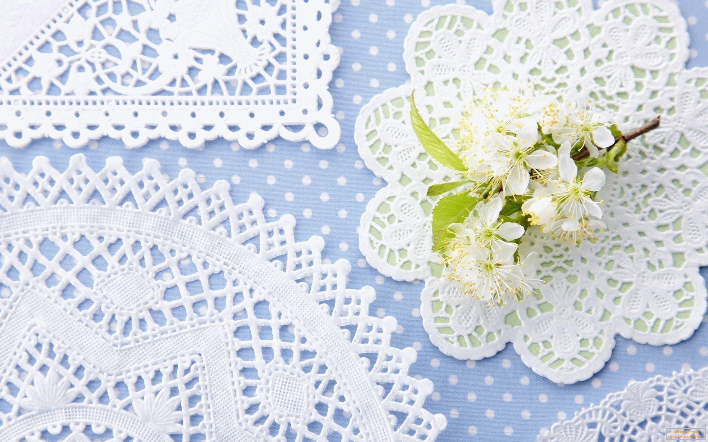 Lace napkins for home