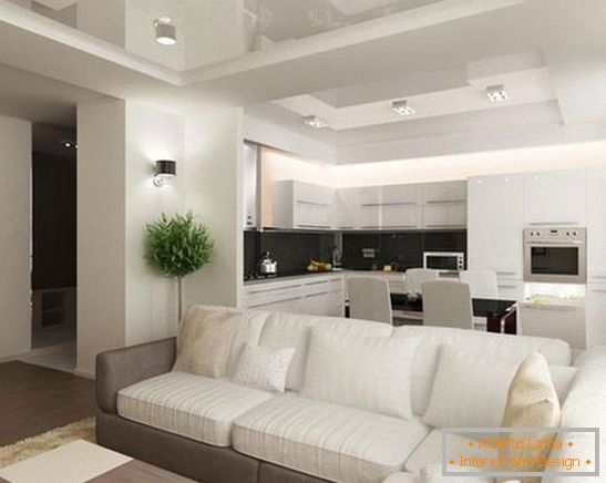 kitchen living room with zoning, photo 29