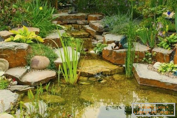 The landscape of the yard with their own hands - a photo with a small pond