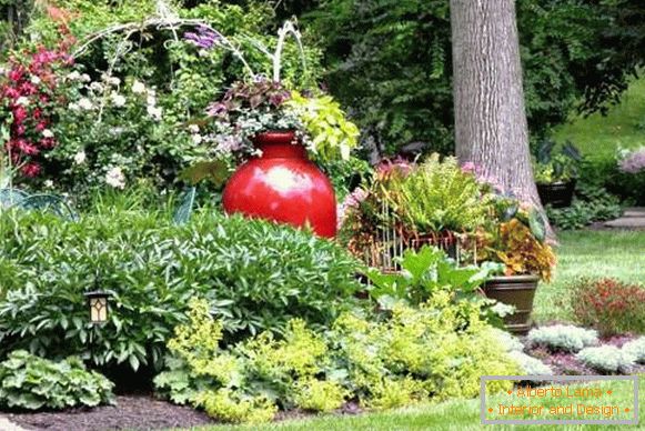 Landscaping of the yard - photo with your own hands made ideas