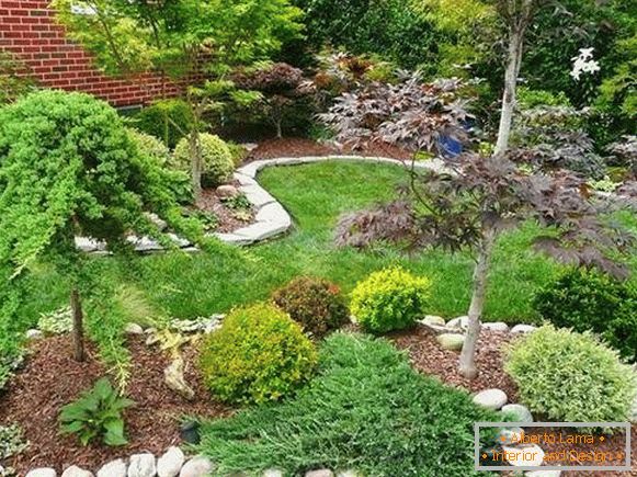 Landscaping of a private house with their own hands - photos of flower beds and plantings