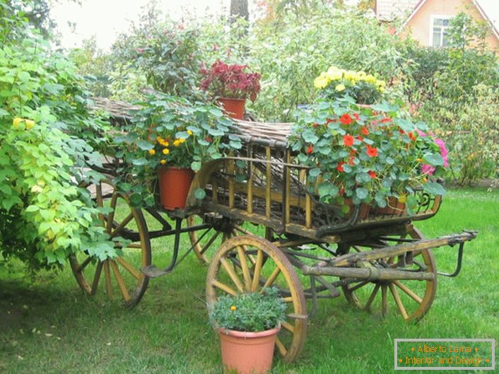 Original flower beds in the country style can be made from an old cart or an unnecessary bicycle.